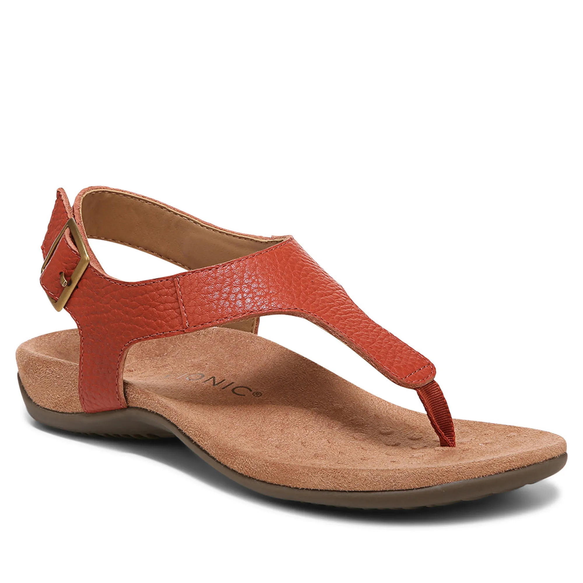 Discount Vionic Terra Sandal Black|Clay|Cream|Lake Blue
